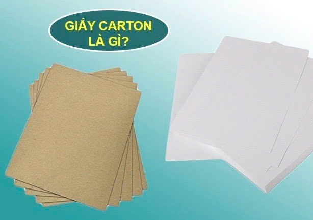 Khái niệm và vai trò của giấy carton trong đời sống